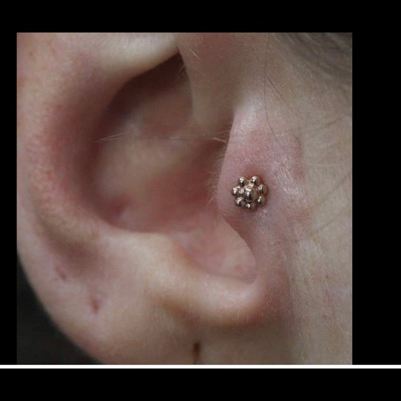 BVLA END - Picture 7 of 9